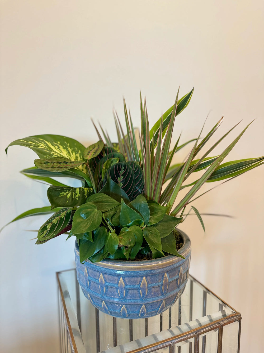 Chloe’s Garden Collection