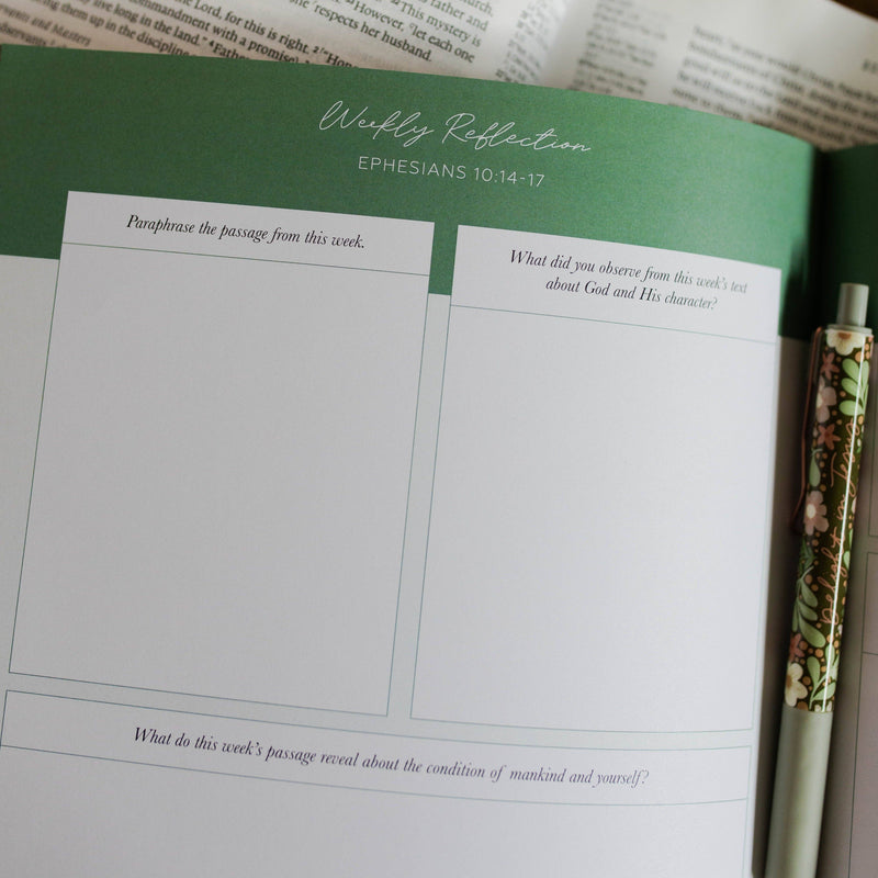 The Daily Grace Co - Stand Firm | Armor of God Study
