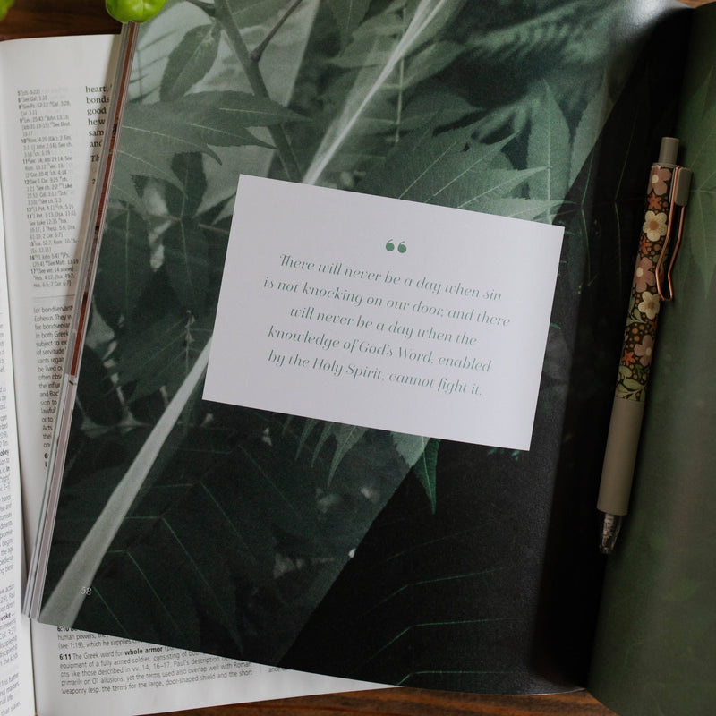 The Daily Grace Co - Stand Firm | Armor of God Study