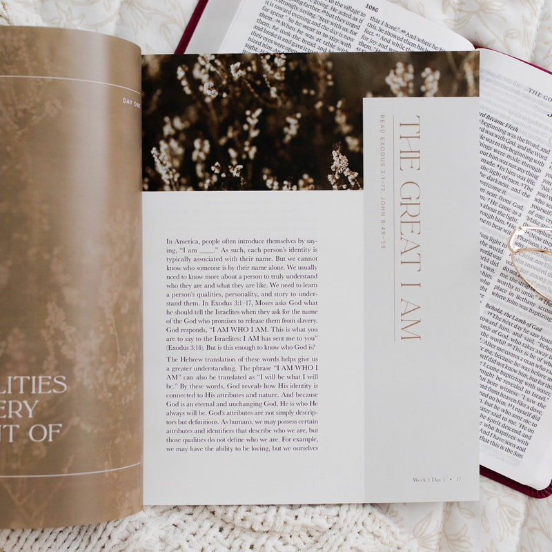 The Daily Grace Co - I Am - Who Jesus Is Changes Everything Bible Study