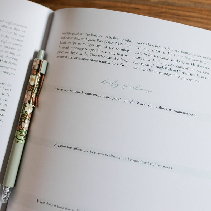 The Daily Grace Co - Stand Firm | Armor of God Study