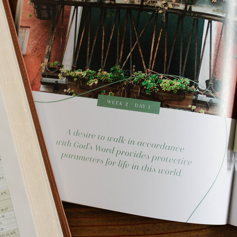 The Daily Grace Co - Stand Firm | Armor of God Study