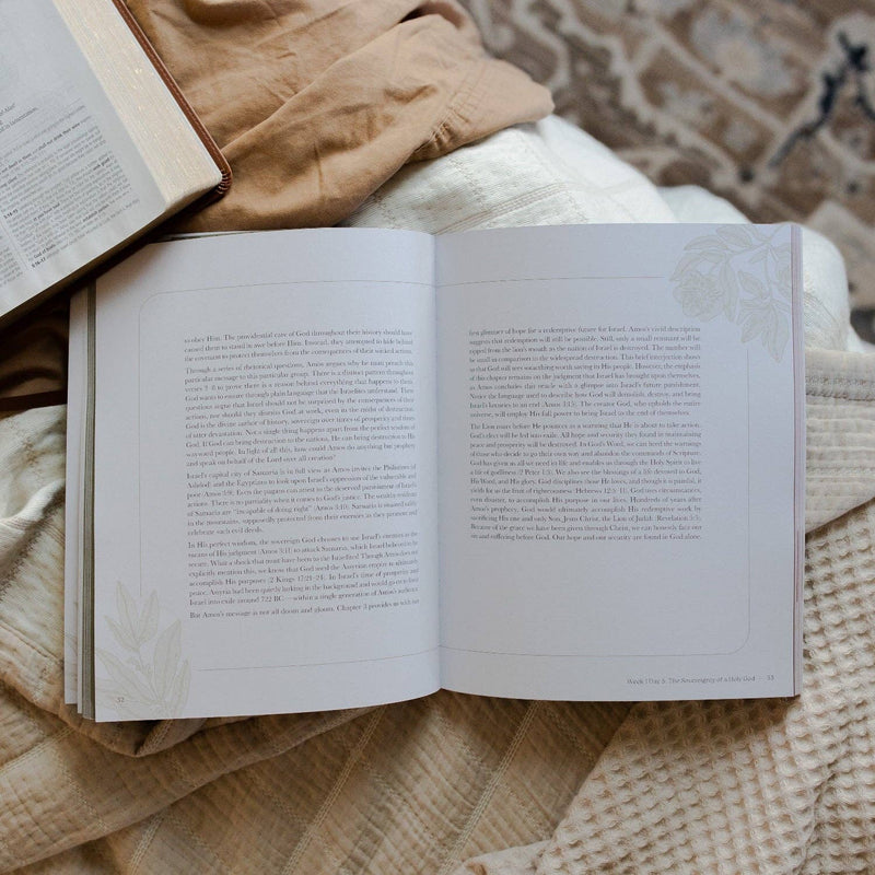 The Daily Grace Co - Never Too Far Gone | A Study on the Book of Amos