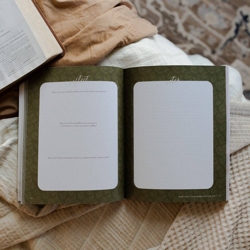 The Daily Grace Co - Never Too Far Gone | A Study on the Book of Amos