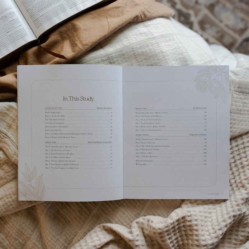 The Daily Grace Co - Never Too Far Gone | A Study on the Book of Amos