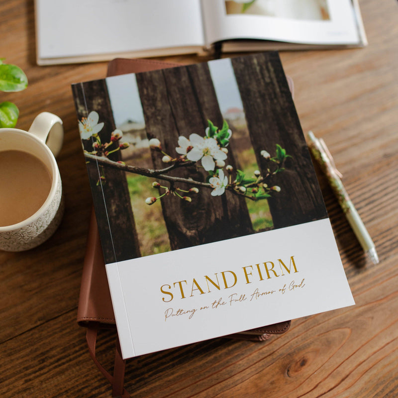 The Daily Grace Co - Stand Firm | Armor of God Study