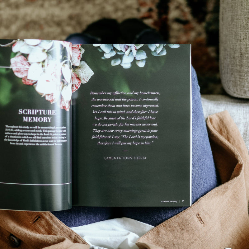 The Daily Grace Co - Between Grief and Glory | Lamentations Study