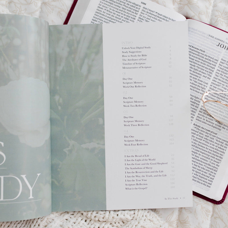 The Daily Grace Co - I Am - Who Jesus Is Changes Everything Bible Study