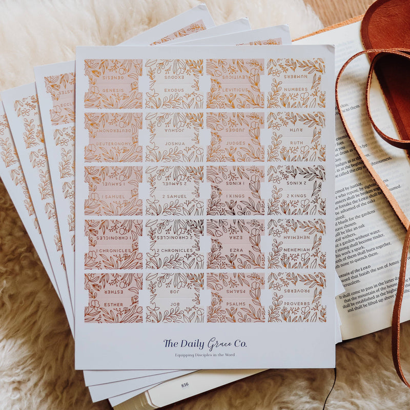 The Daily Grace Co - Gold Foil Bible Tabs | Dusty Pink