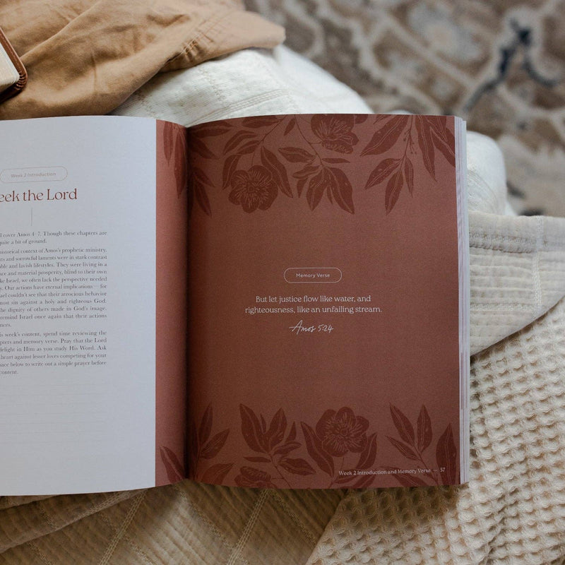 The Daily Grace Co - Never Too Far Gone | A Study on the Book of Amos