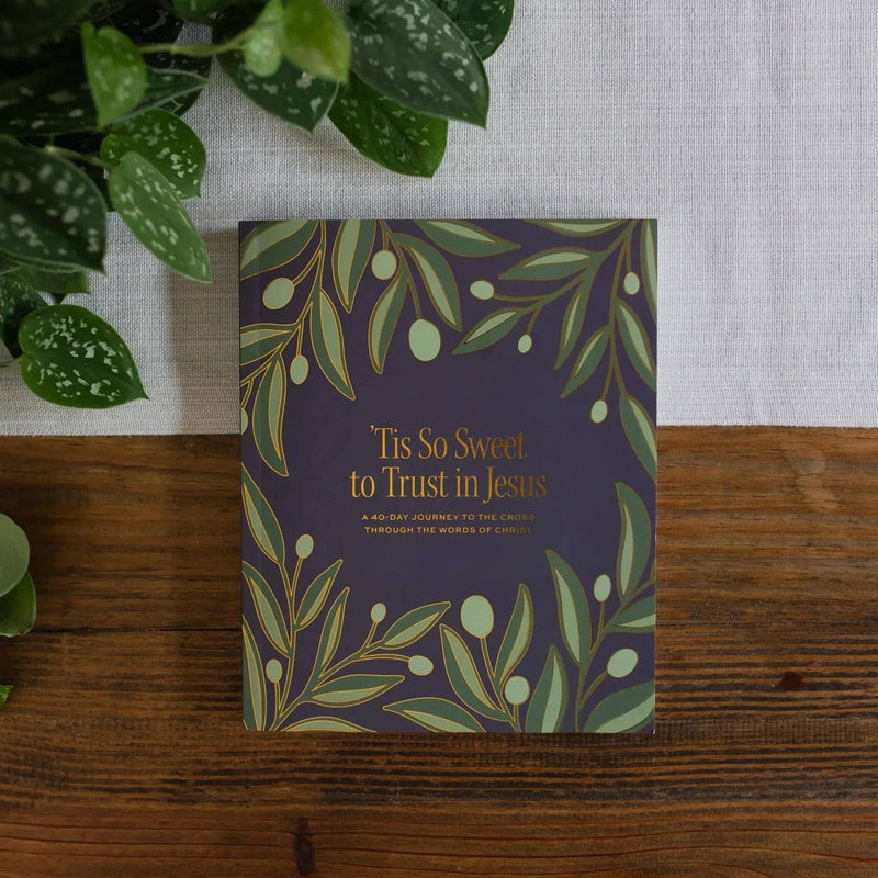 The Daily Grace Co - ‘Tis So Sweet to Trust in Jesus: A 40-Day Journey to the Cross Through the Words of Christ