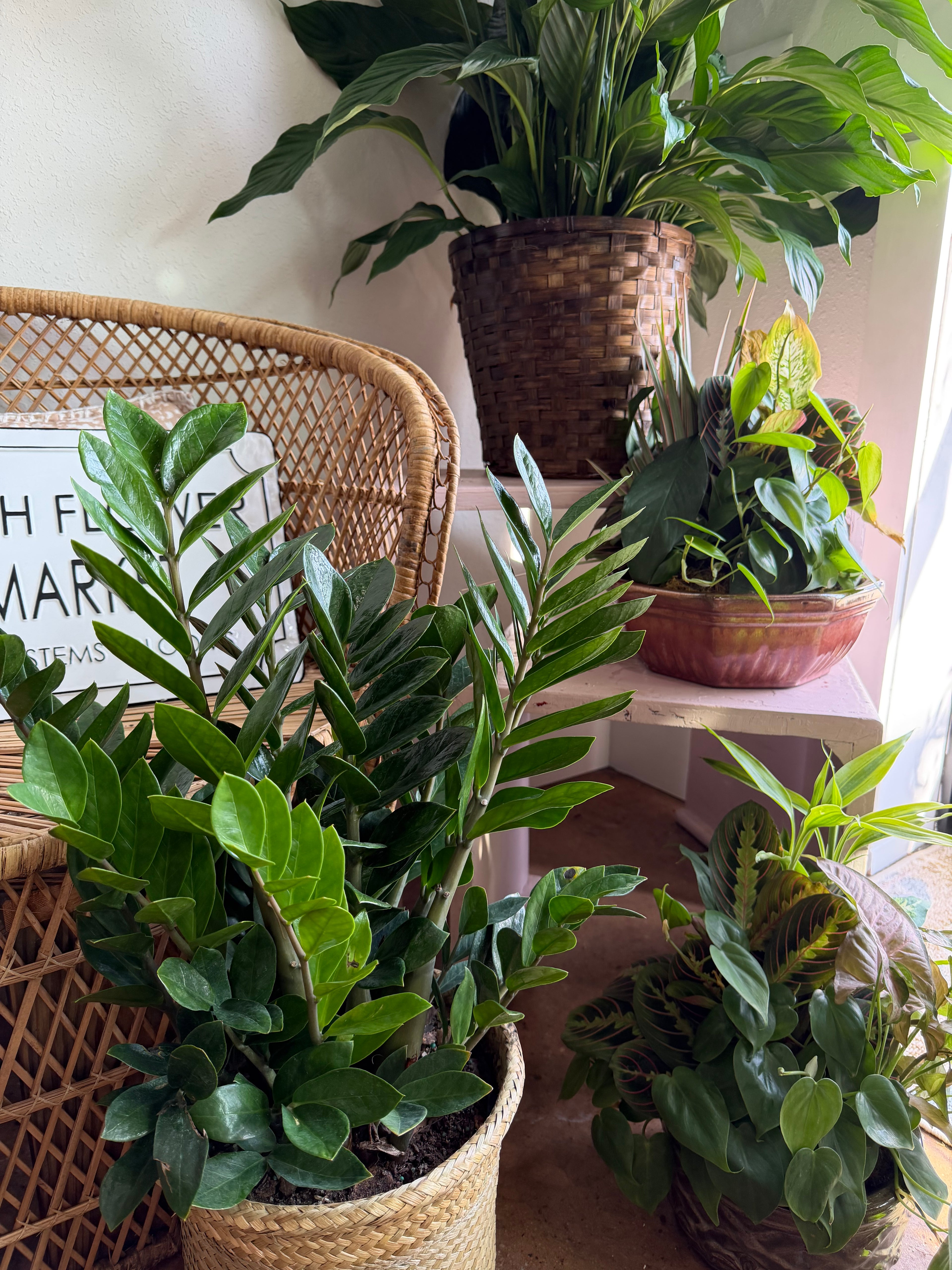 Garden Collection