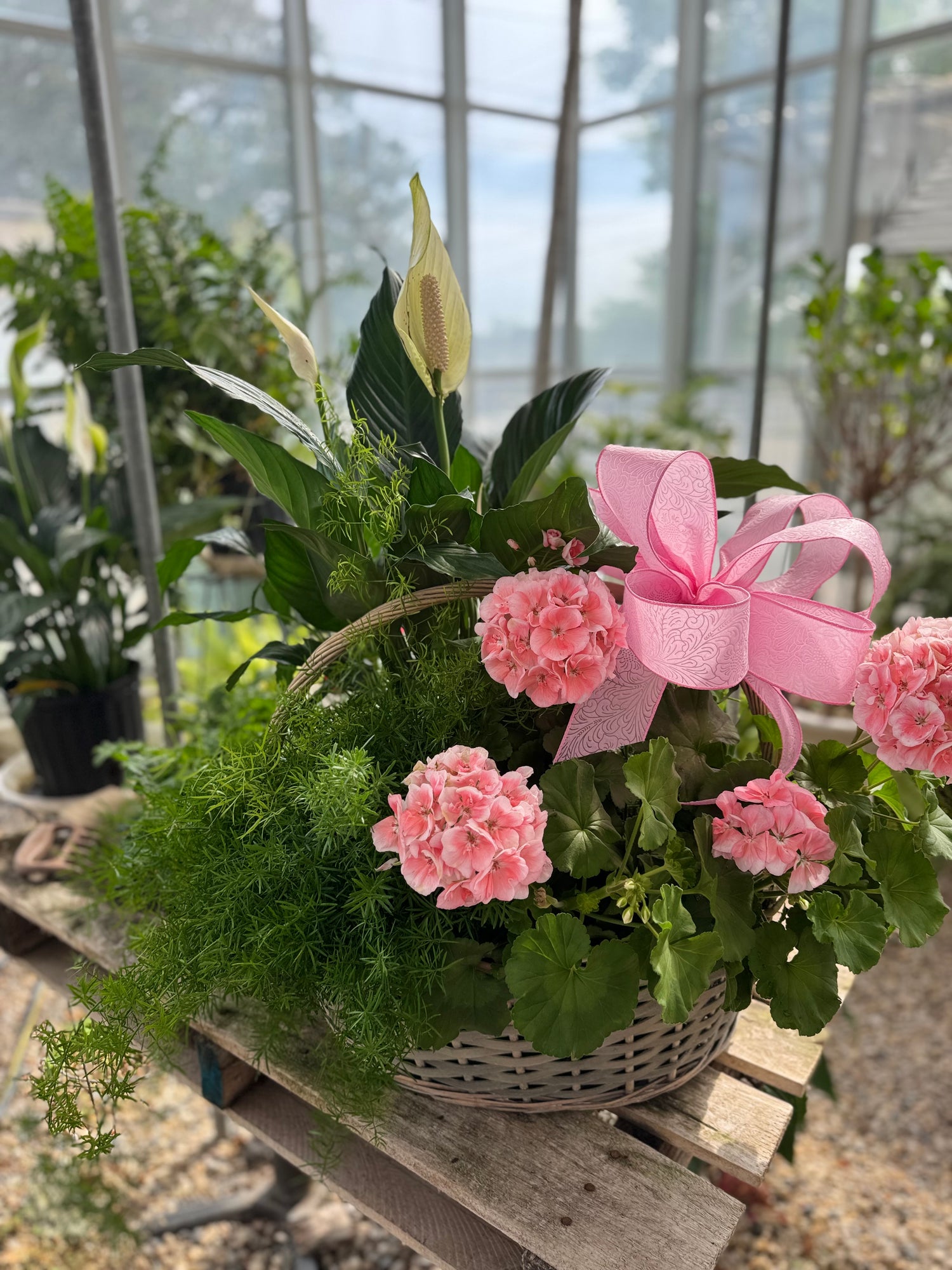 Plant Lady